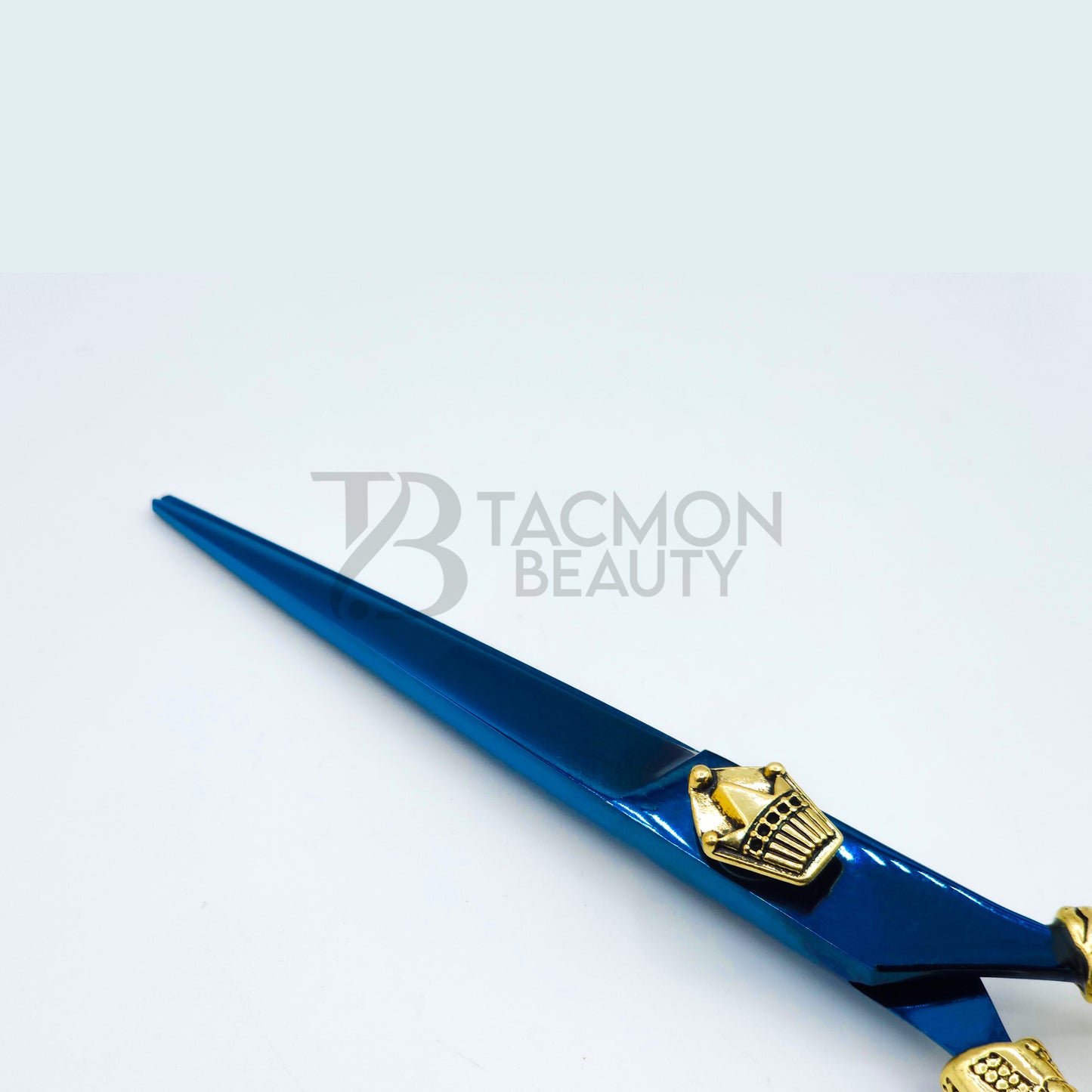 Professional Scissor TB-JS-03