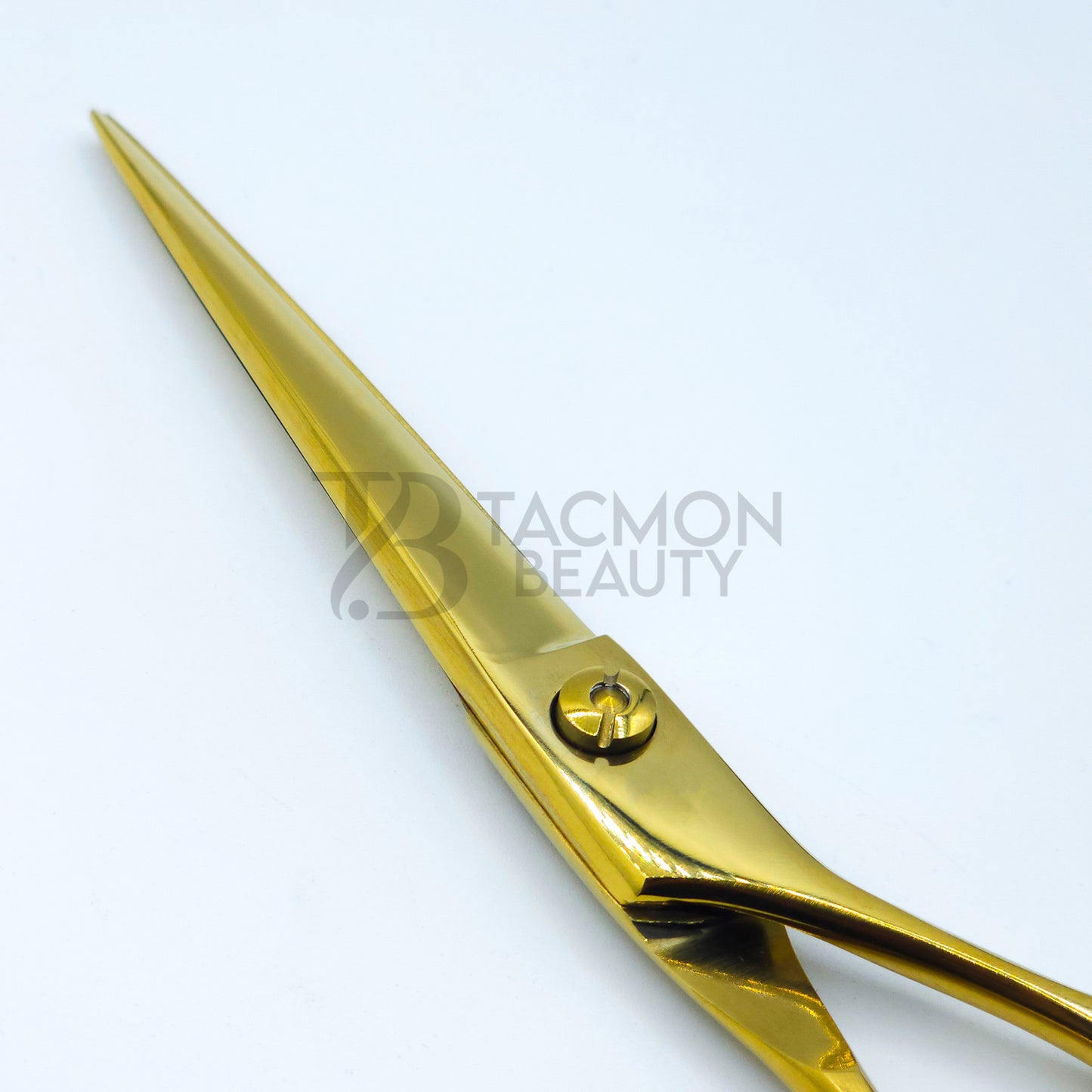 Professional Scissor TB-JS-19
